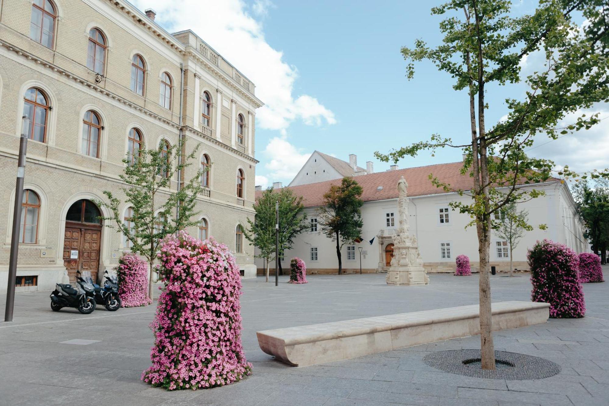 Contessa Apartment Cluj Napoca Esterno foto
