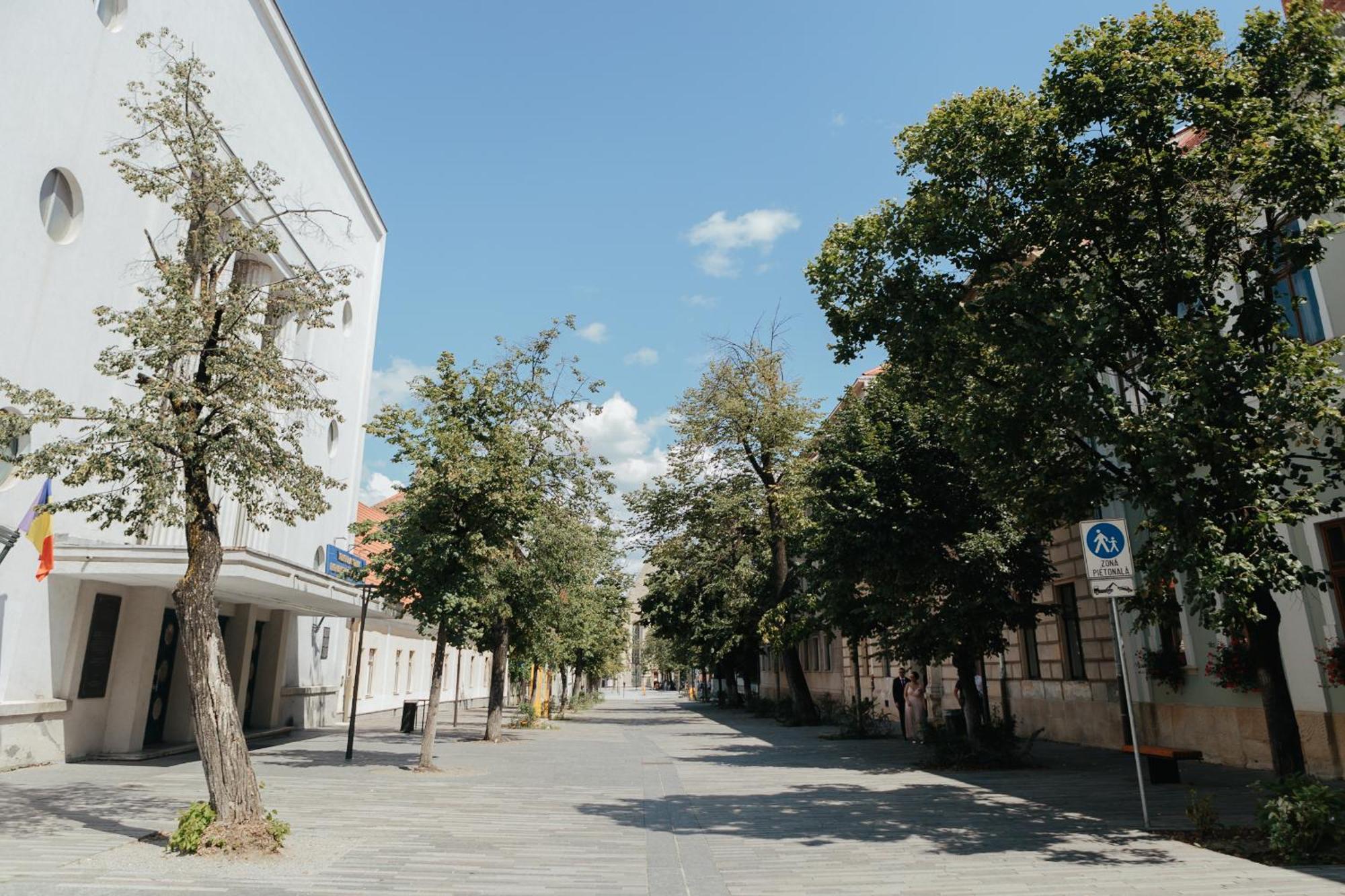 Contessa Apartment Cluj Napoca Esterno foto