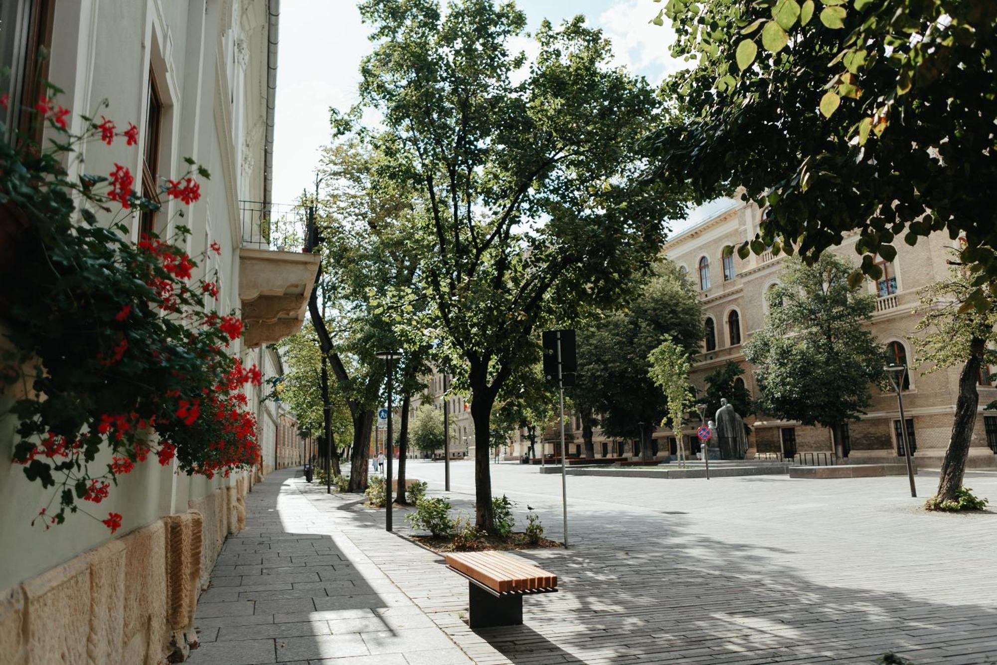 Contessa Apartment Cluj Napoca Esterno foto